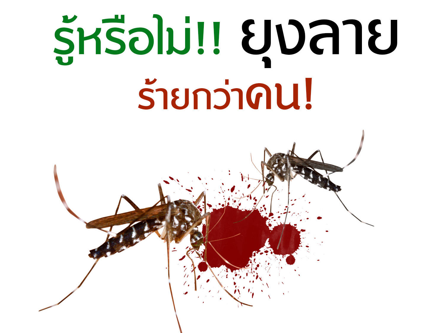 รู้หรือไม่!! ยุงลาย ร้ายกว่าคน!!